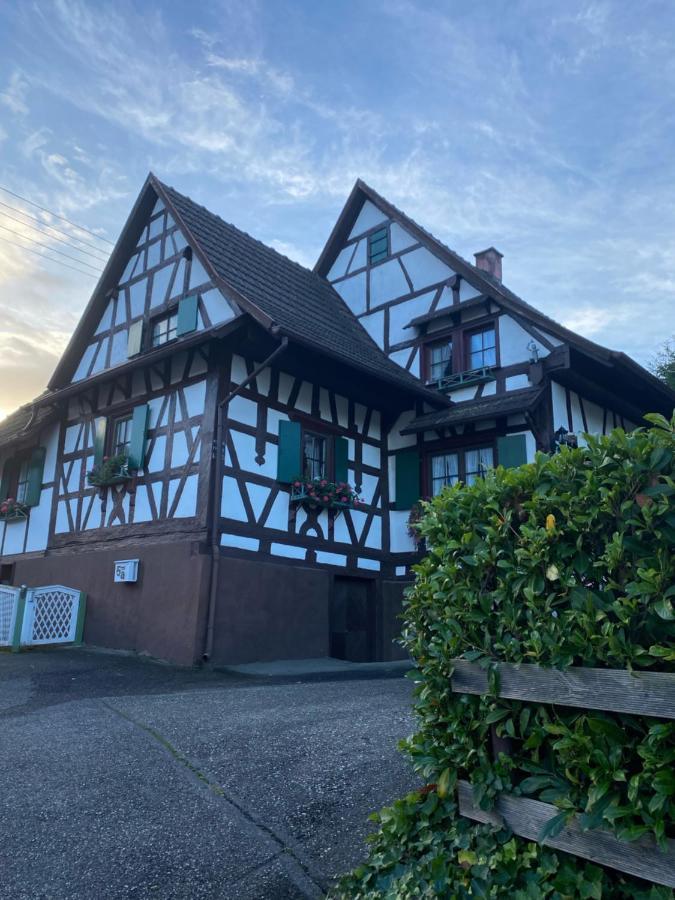 Basler Ferienwohnung Offenburg Luaran gambar